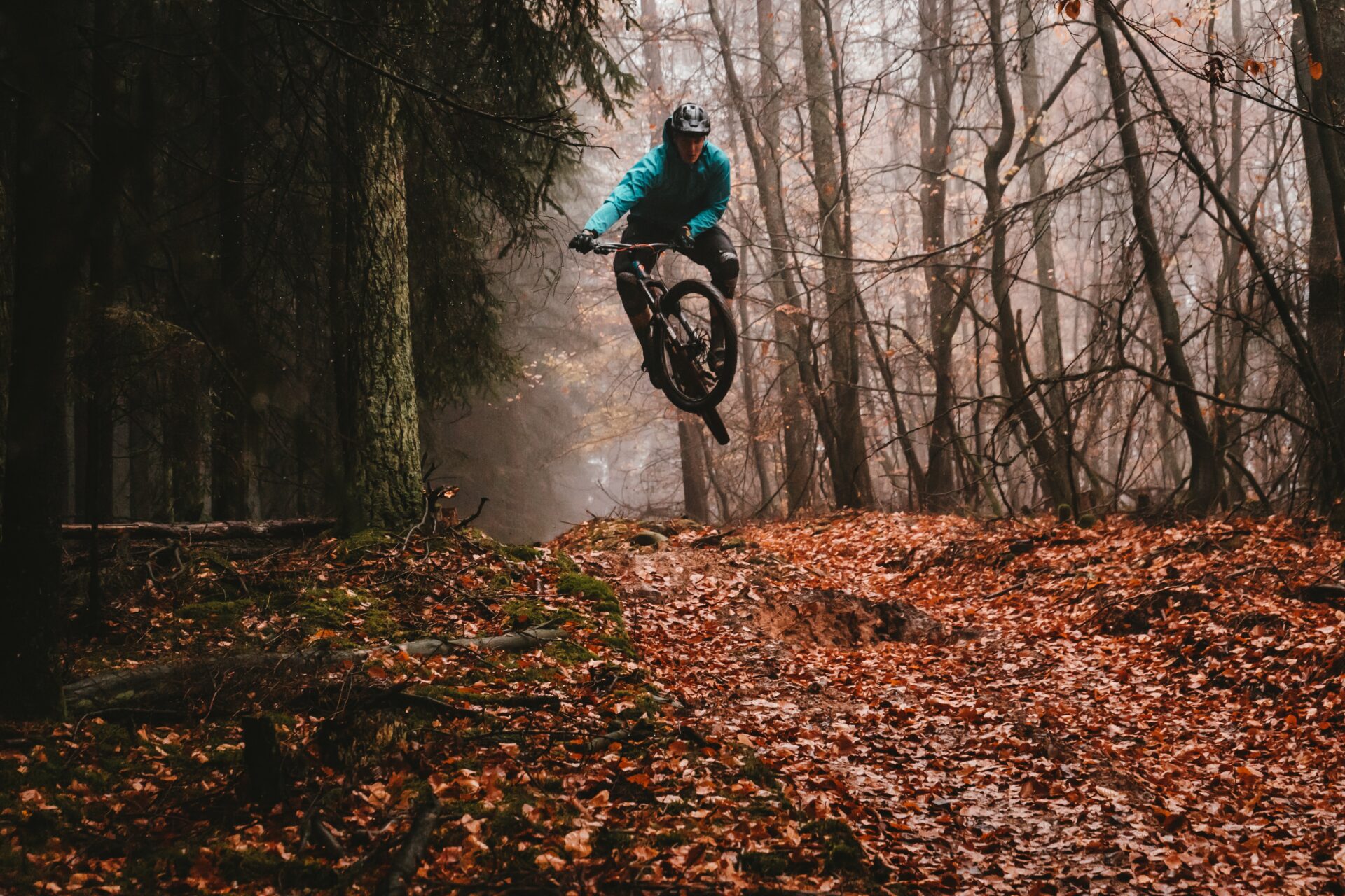 Dit Zijn De 10 Mooiste Mtb Routes Van Nederland - The Bike