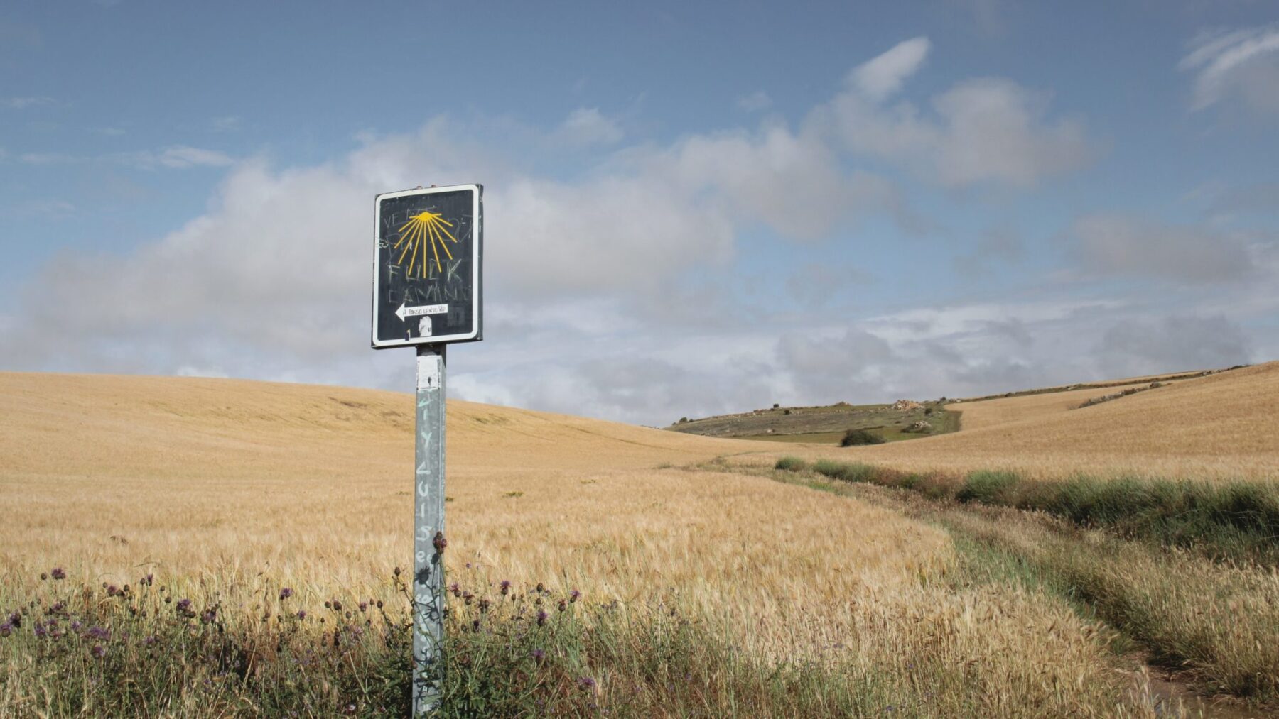 Camino Santiago