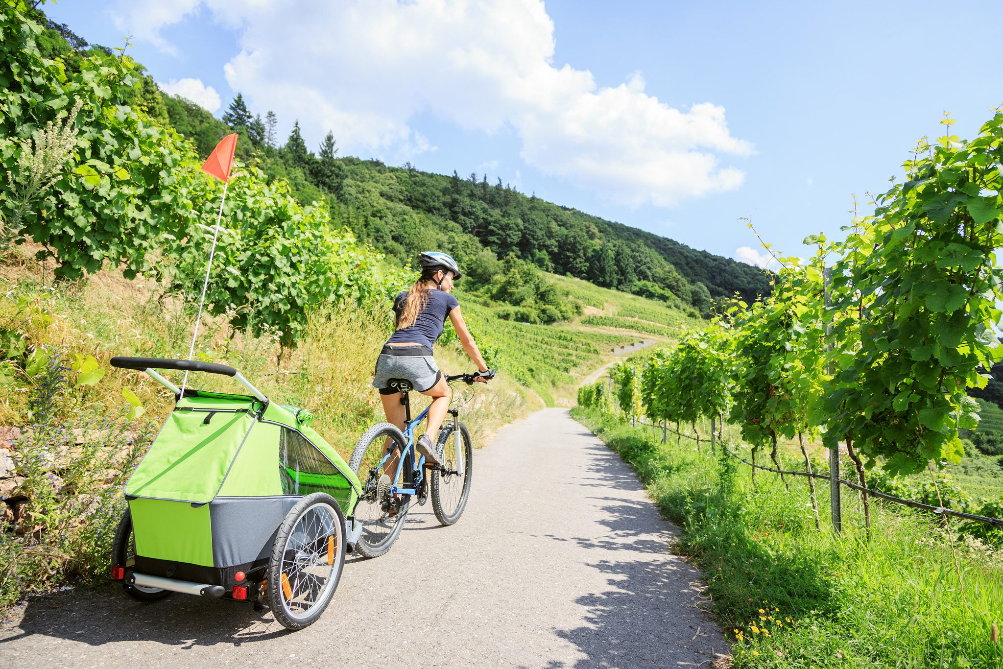 Ultiem Fietsen Langs De Moezel Het Moselle Cycle Path En Meer