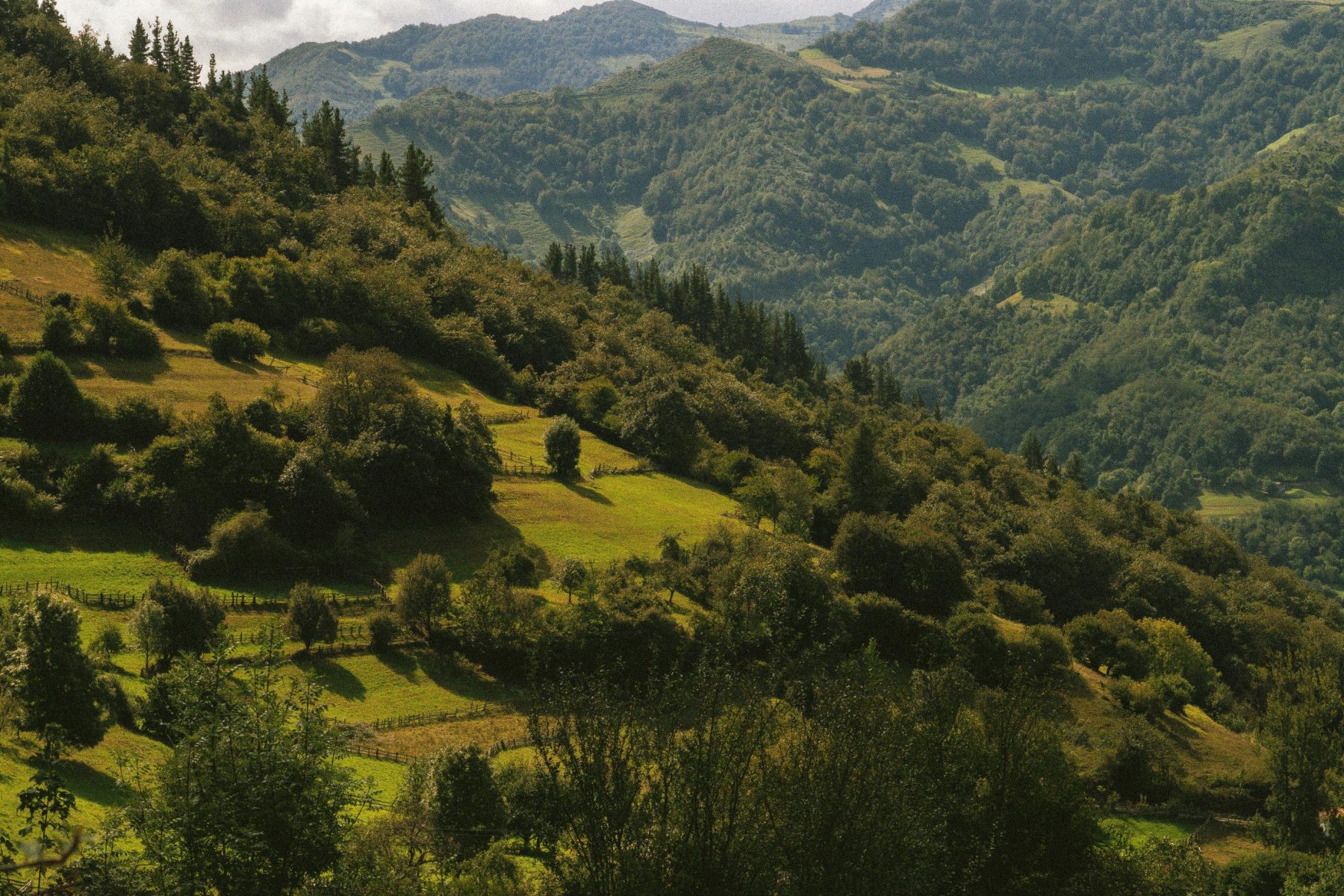 Een heuvelachtig gebied met veel bebossing in Asturië, Spanje.