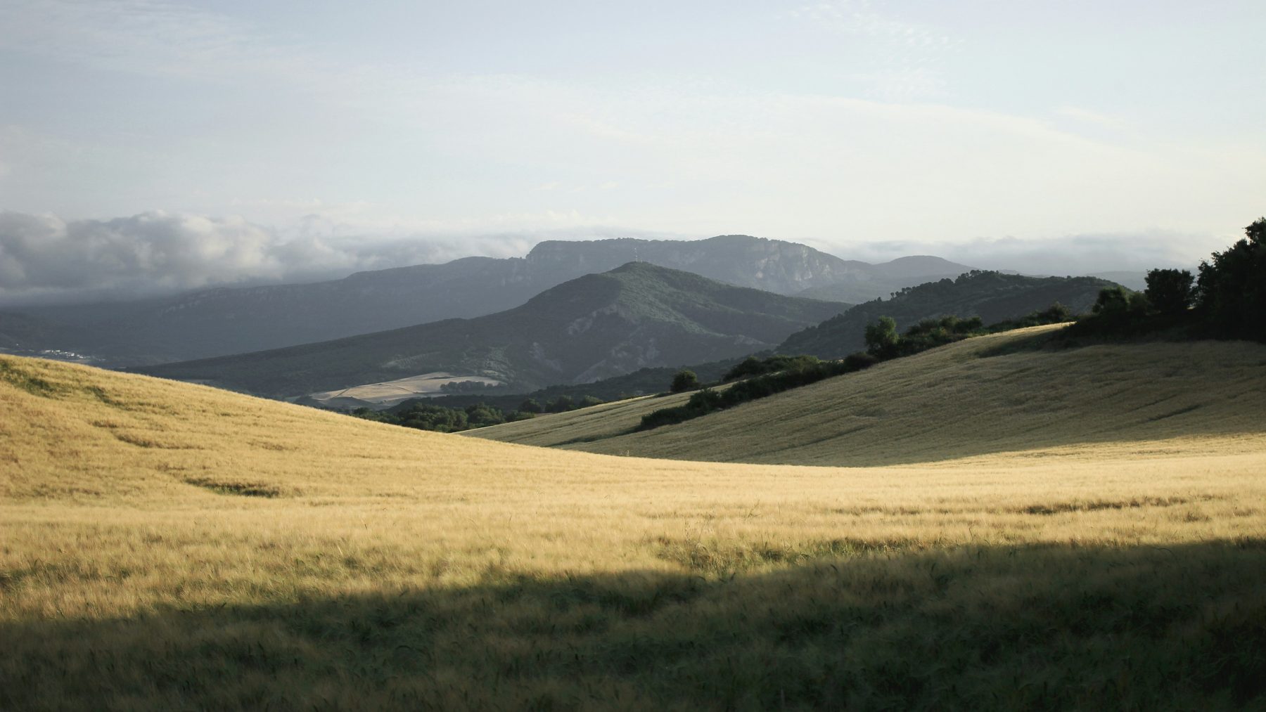 Een uitzicht over de heuvels van het Spaanse
Camino de Santiago, waar je een heerlijke fietsvakantie kunt beleven.