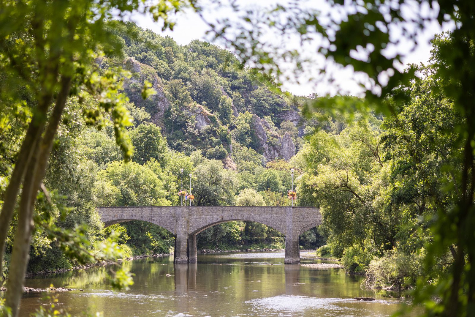 Ardennes Arbalete